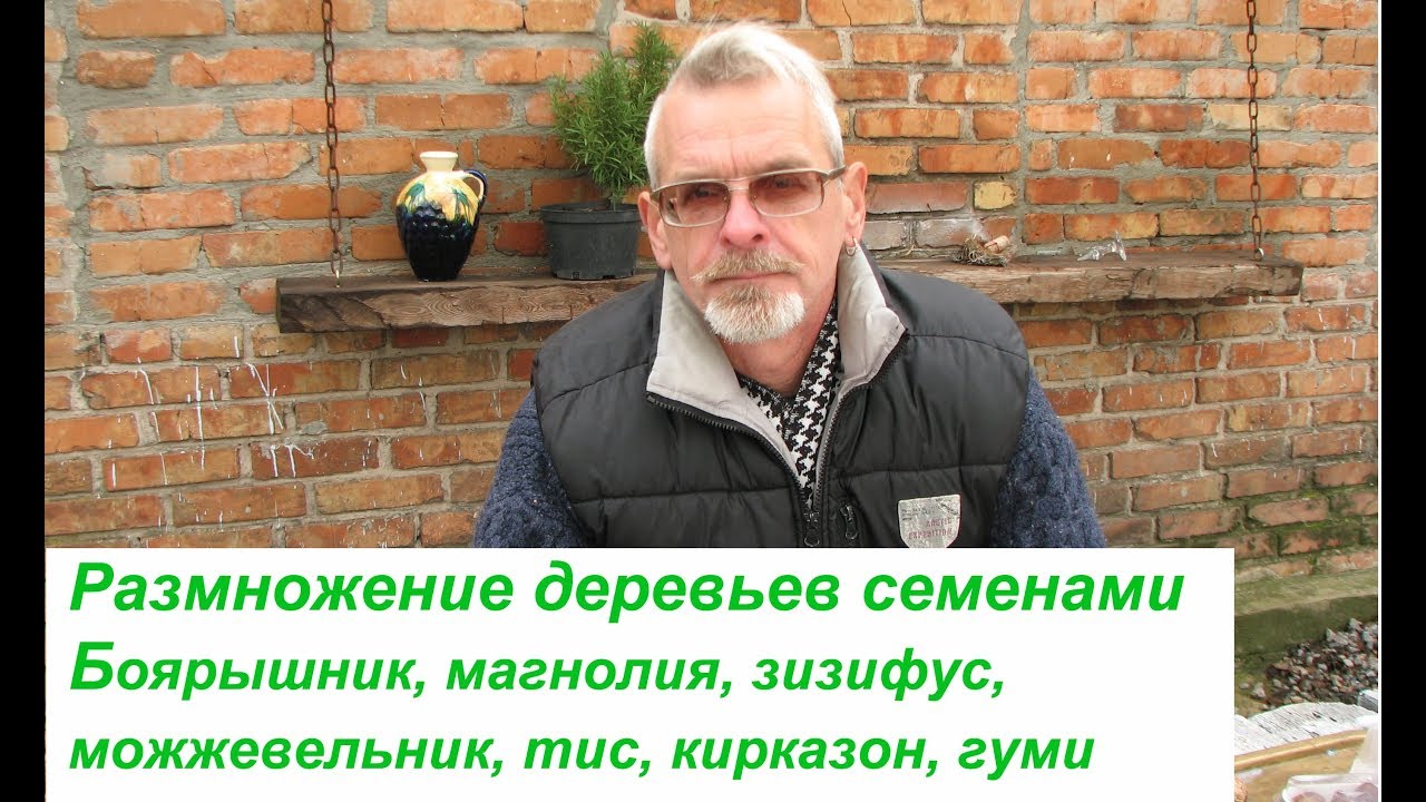 Нажмите, чтобы запустить видео