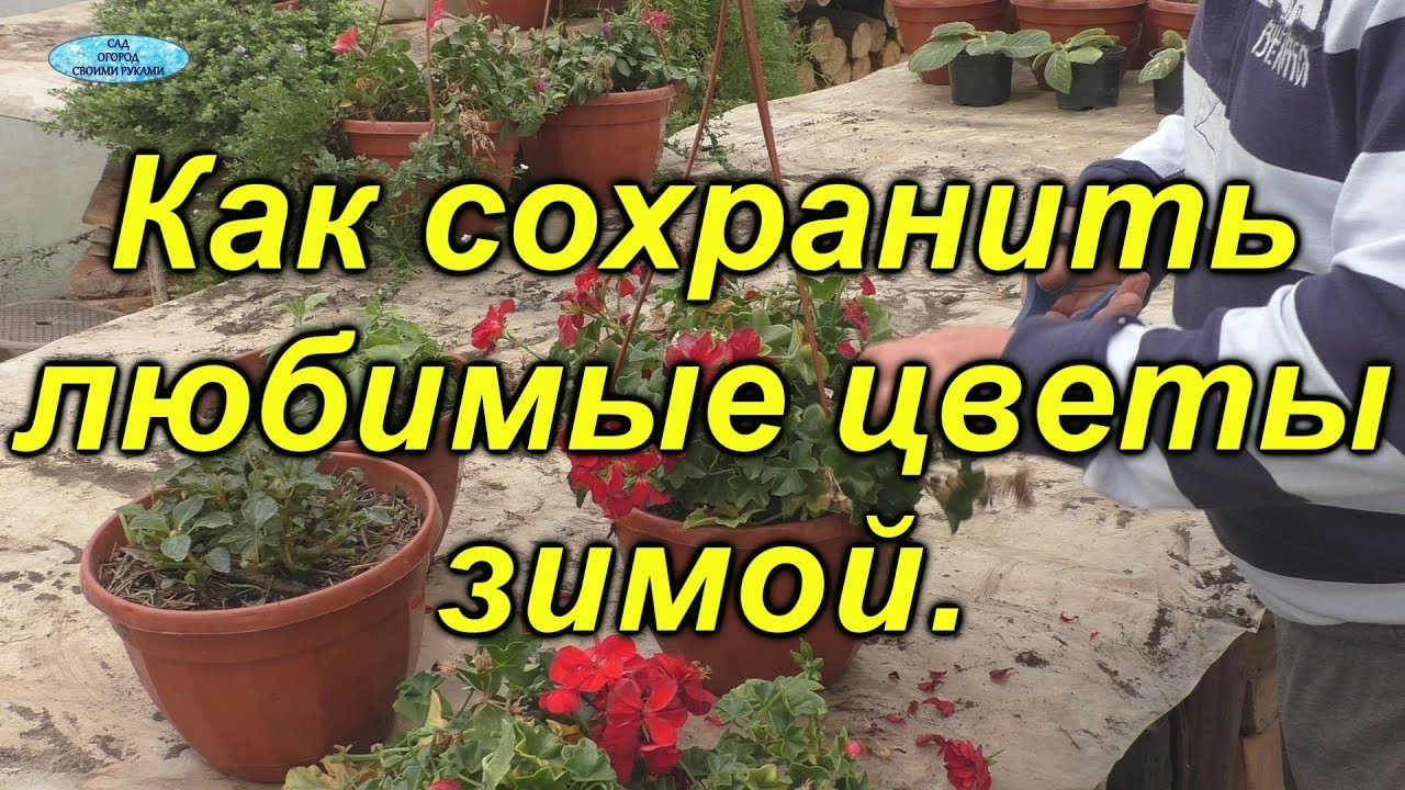 Нажмите, чтобы запустить видео