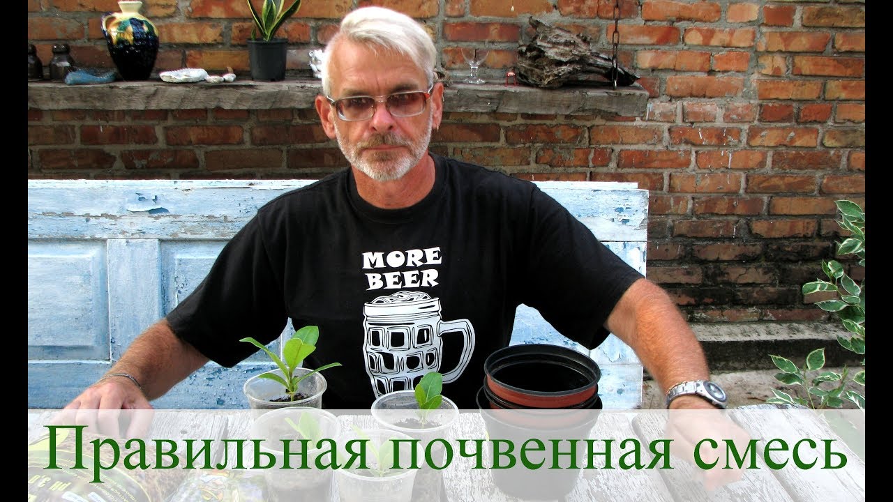 Нажмите, чтобы запустить видео