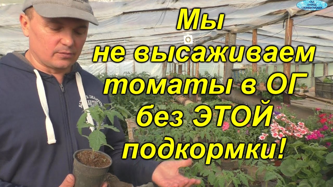 Нажмите, чтобы запустить видео