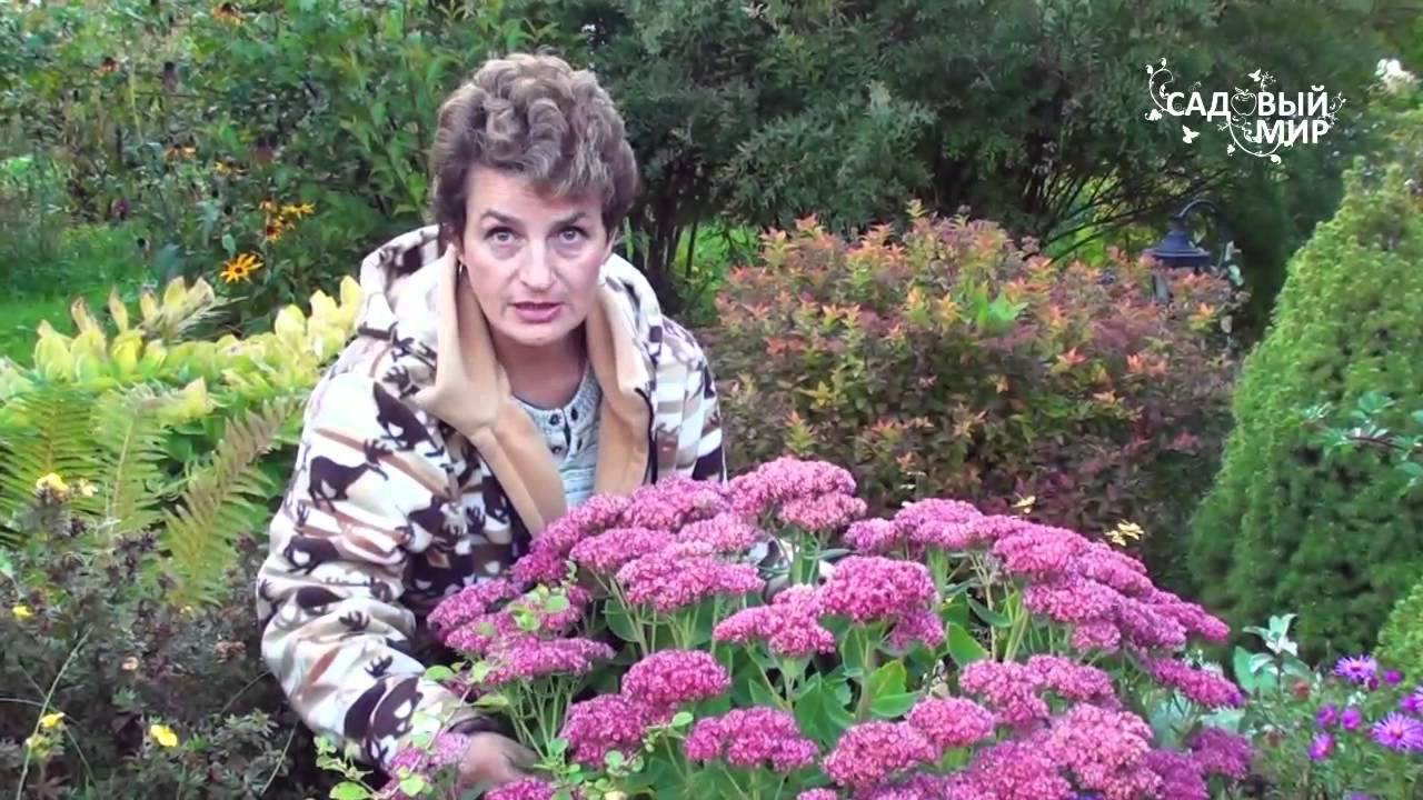 Нажмите, чтобы запустить видео