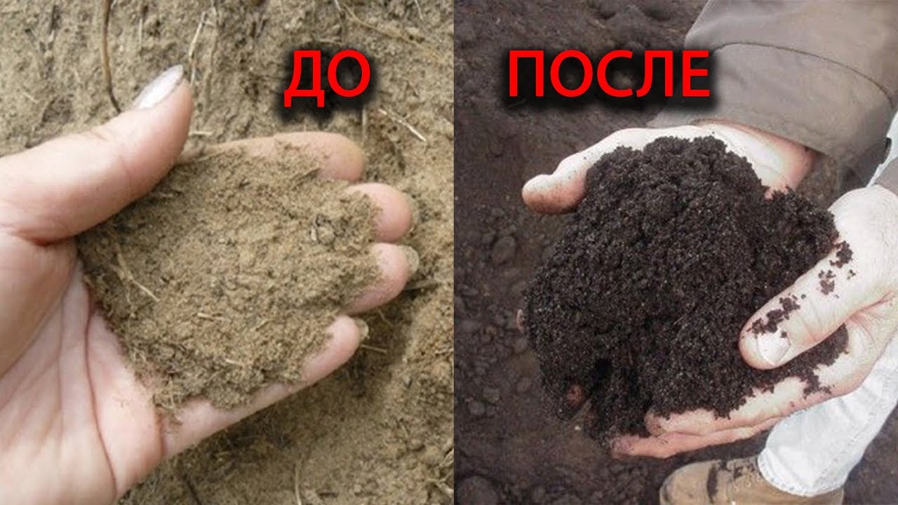 Нажмите, чтобы запустить видео