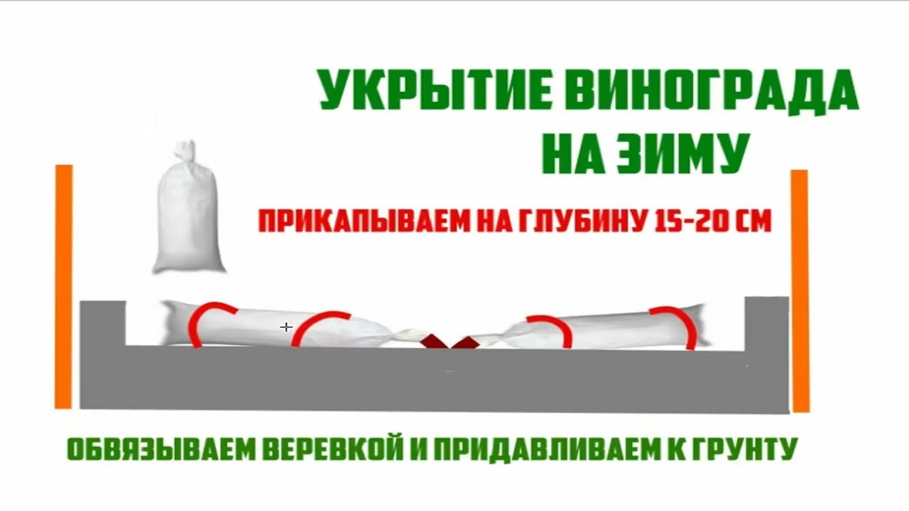 Нажмите, чтобы запустить видео