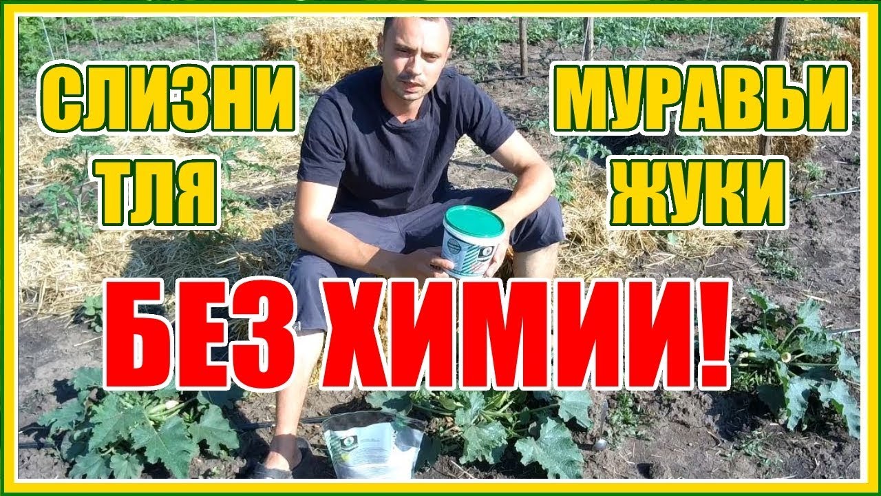 Нажмите, чтобы запустить видео