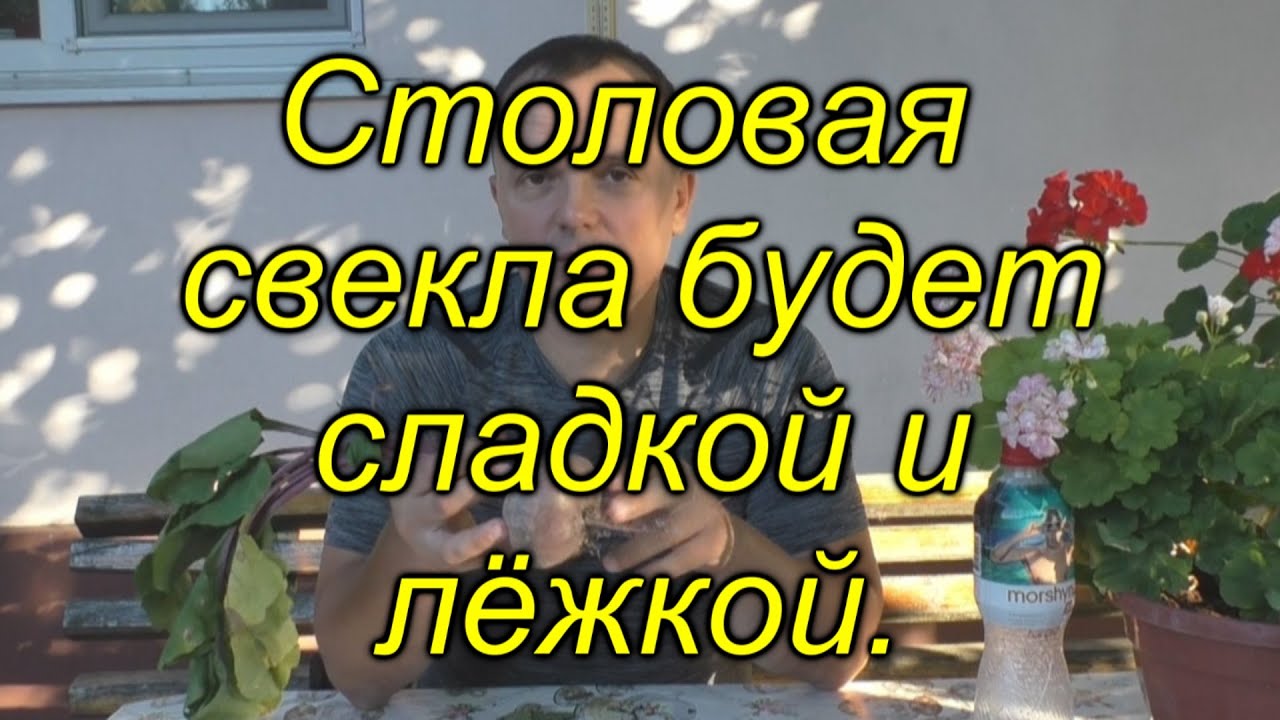 Нажмите, чтобы запустить видео