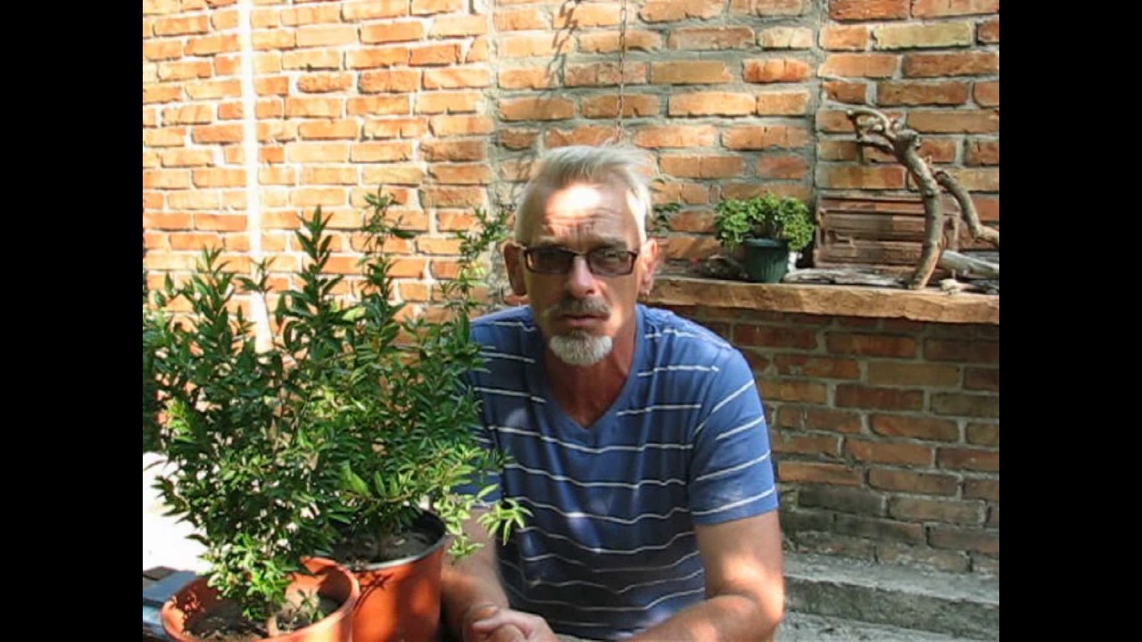 Нажмите, чтобы запустить видео