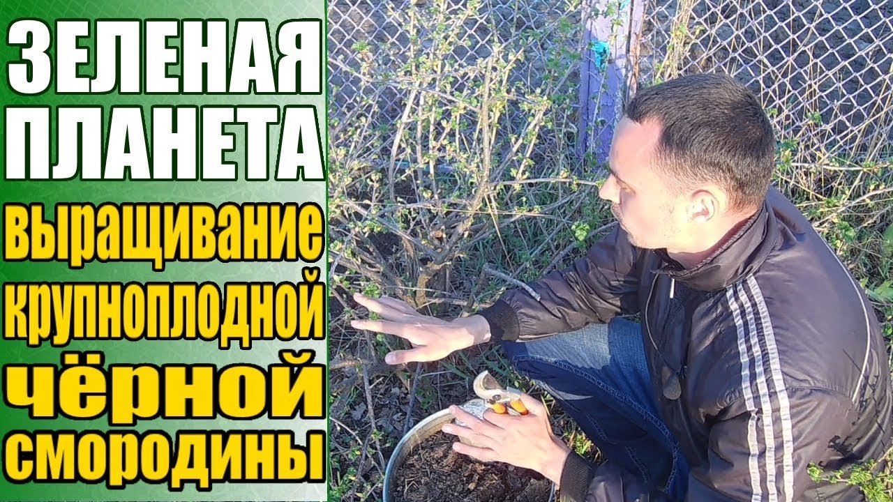 Нажмите, чтобы запустить видео