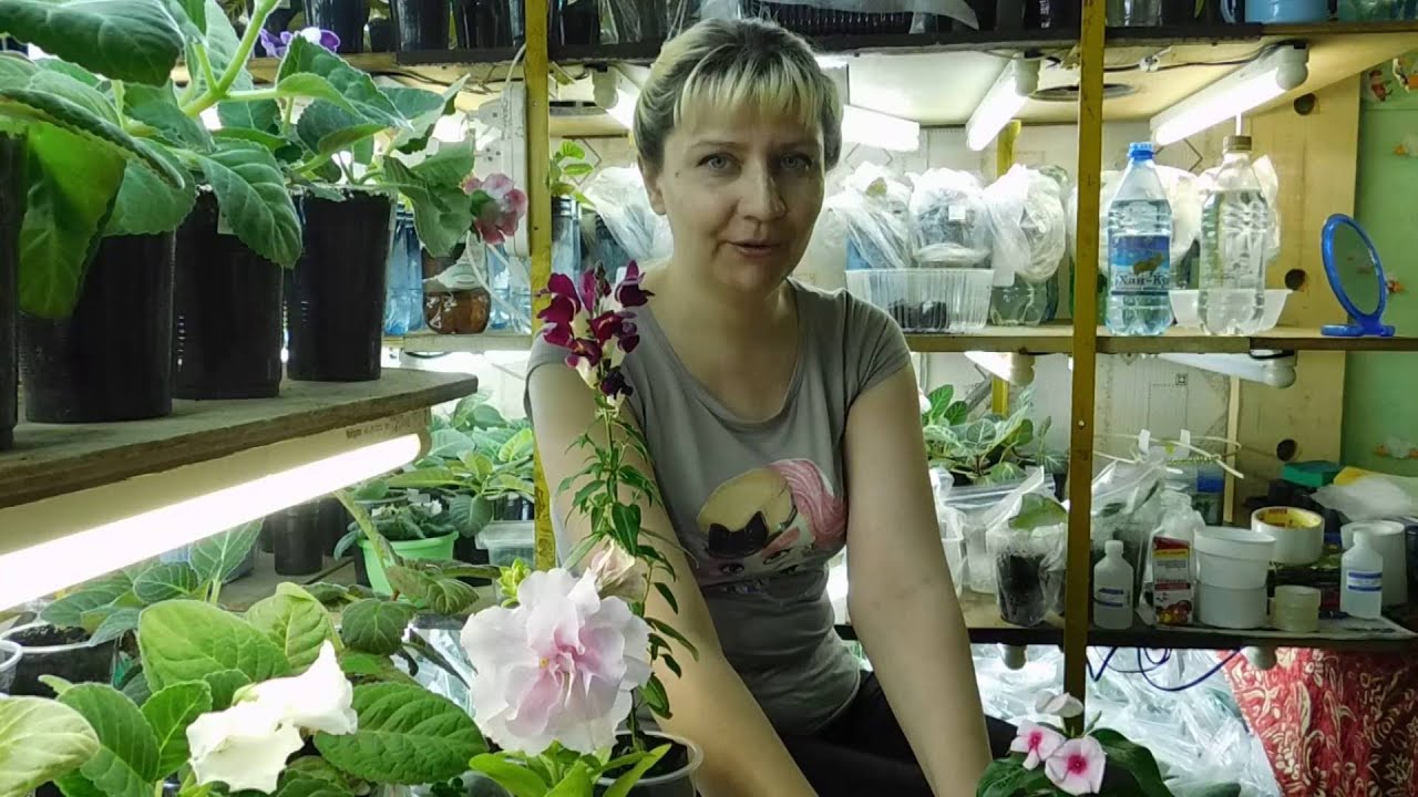 Нажмите, чтобы запустить видео