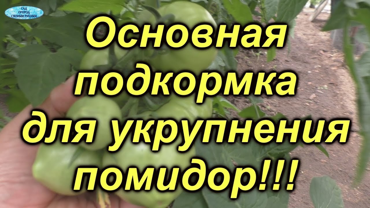 Нажмите, чтобы запустить видео