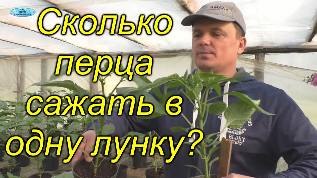 Нажмите, чтобы запустить видео