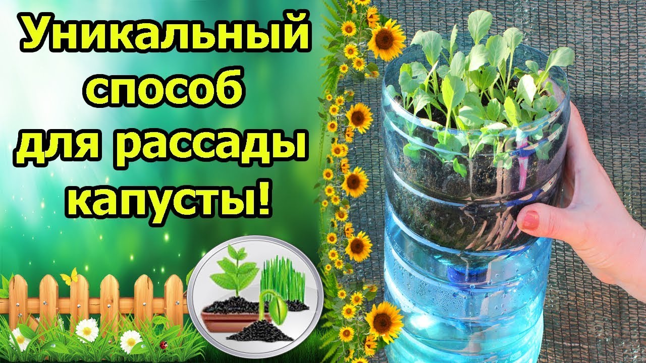 Нажмите, чтобы запустить видео