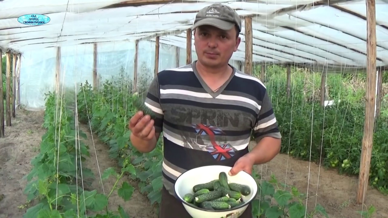 Нажмите, чтобы запустить видео