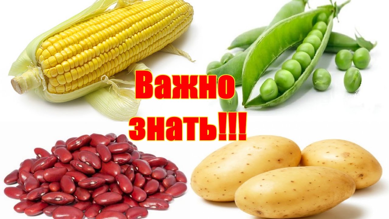 Нажмите, чтобы запустить видео