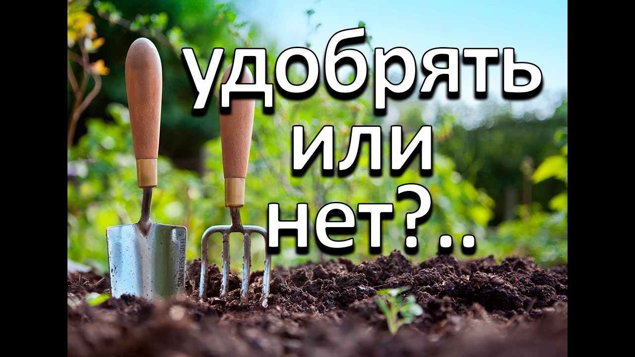 Нажмите, чтобы запустить видео