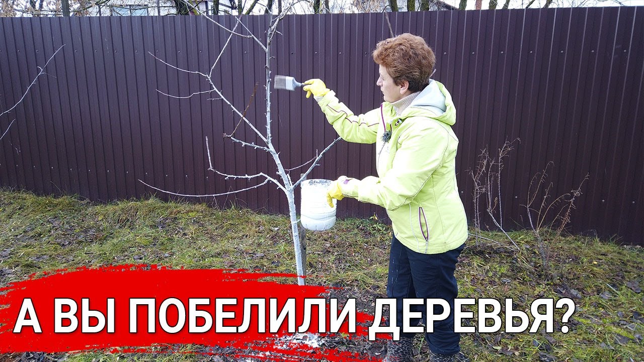 Нажмите, чтобы запустить видео