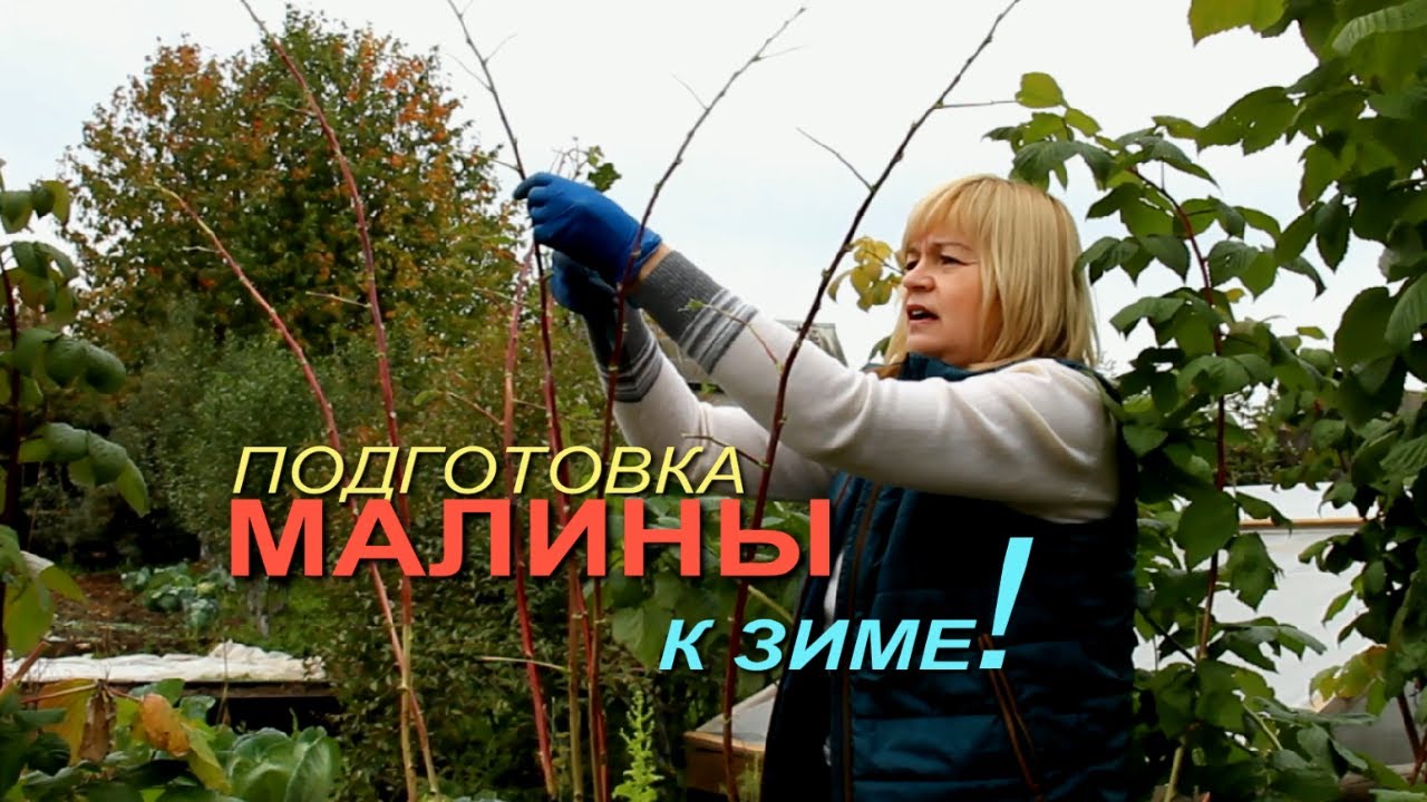 Нажмите, чтобы запустить видео
