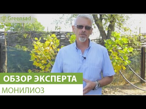 Нажмите, чтобы запустить видео