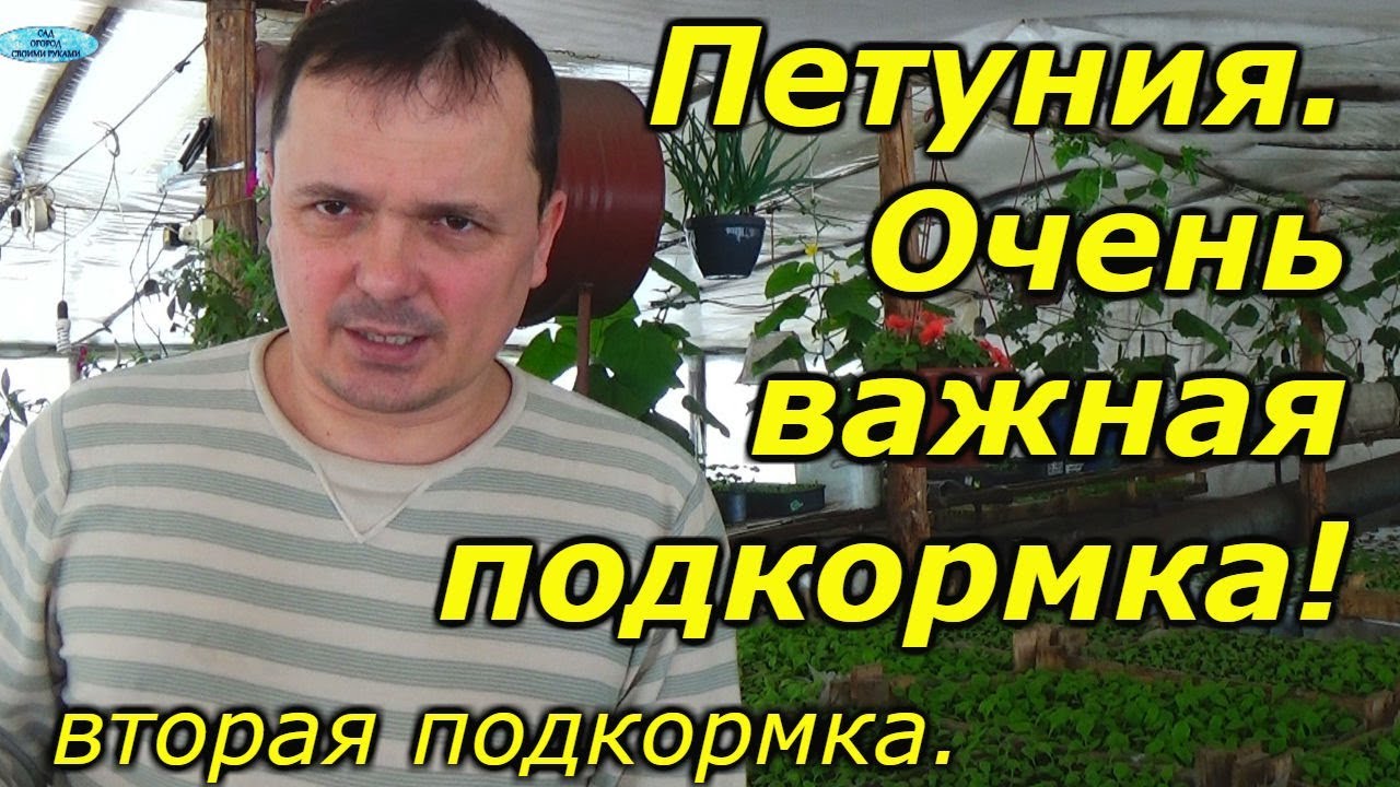 Нажмите, чтобы запустить видео