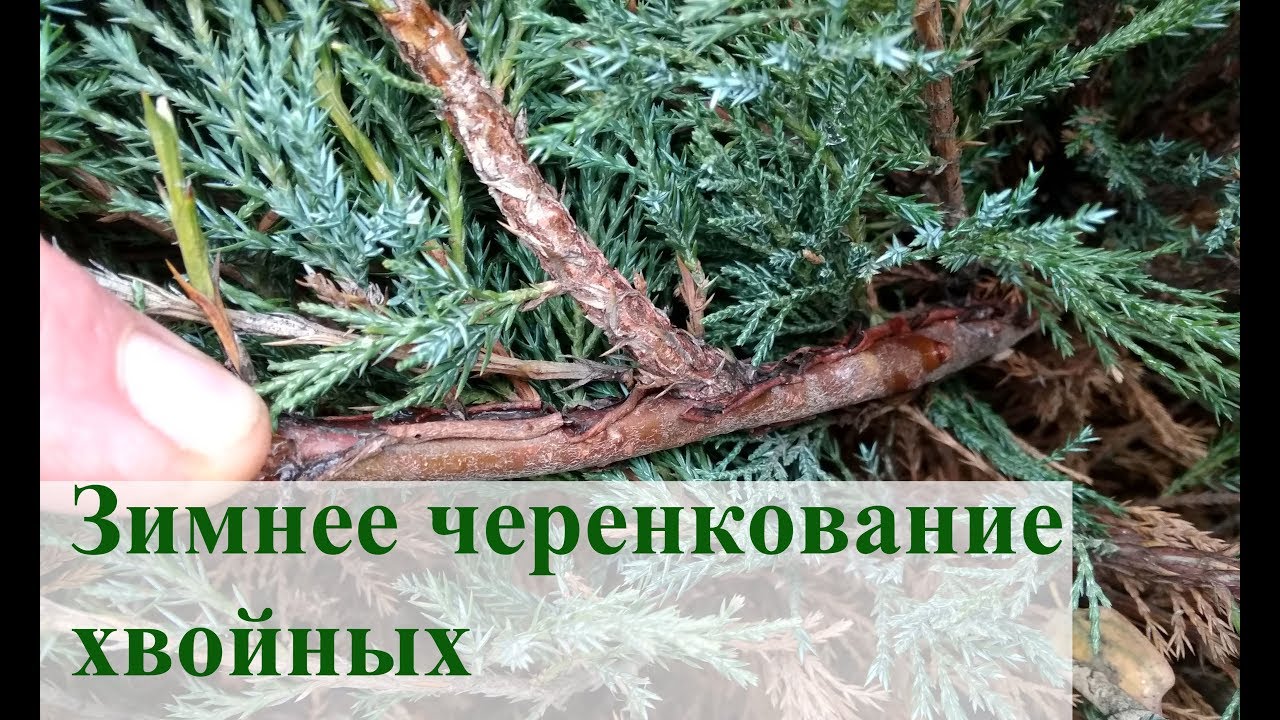 Нажмите, чтобы запустить видео