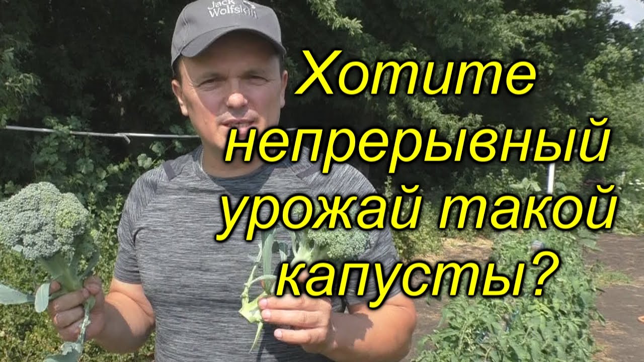 Нажмите, чтобы запустить видео