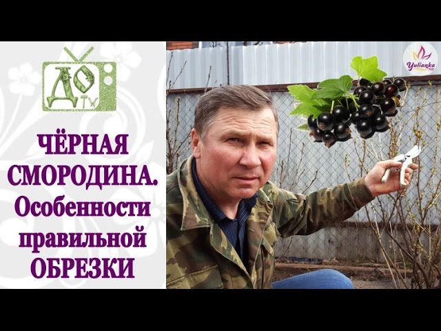 Нажмите, чтобы запустить видео