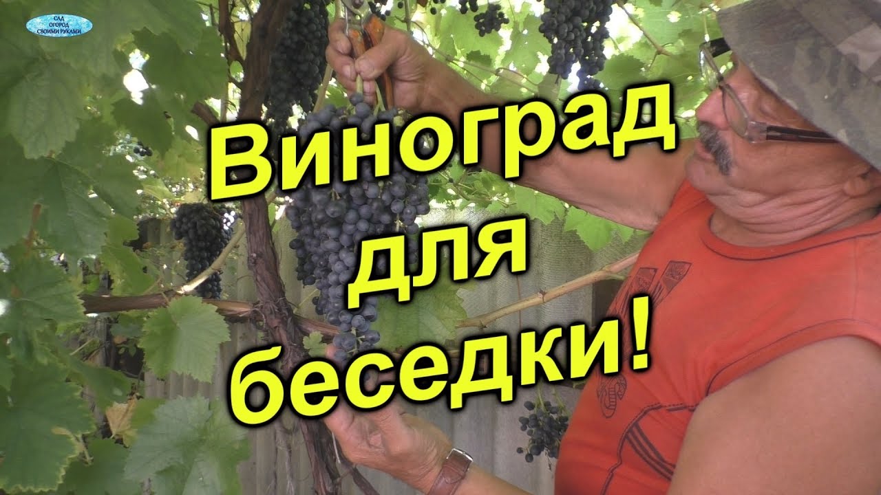 Нажмите, чтобы запустить видео