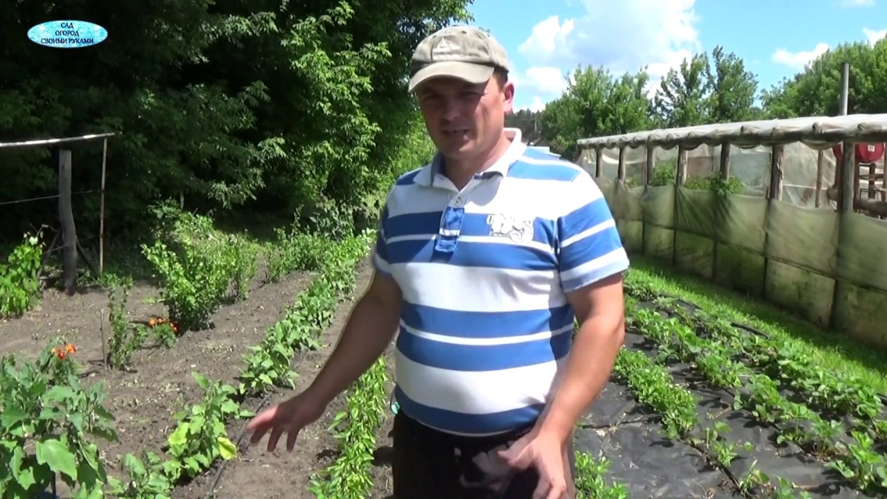 Нажмите, чтобы запустить видео