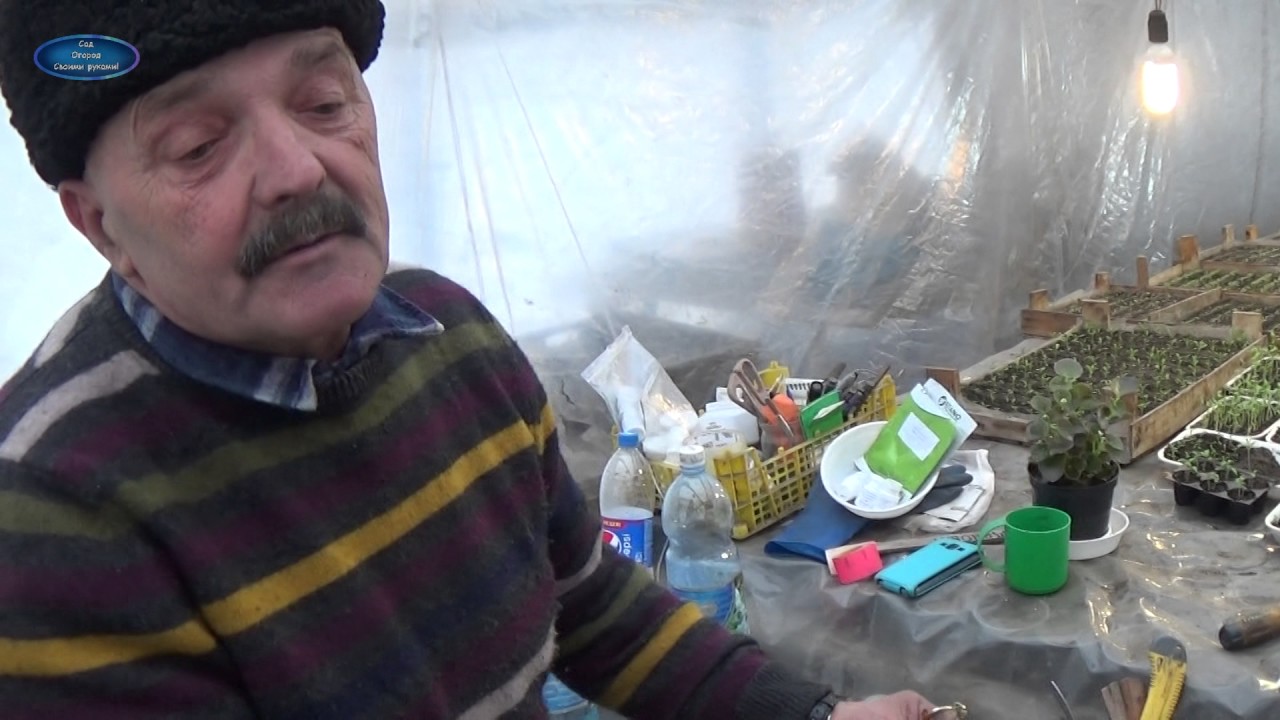 Нажмите, чтобы запустить видео