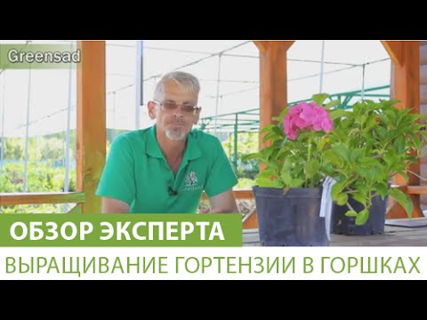 Нажмите, чтобы запустить видео