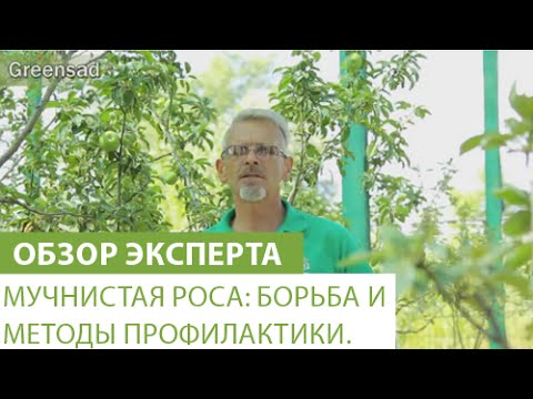 Нажмите, чтобы запустить видео