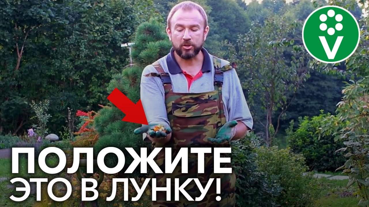 Нажмите, чтобы запустить видео