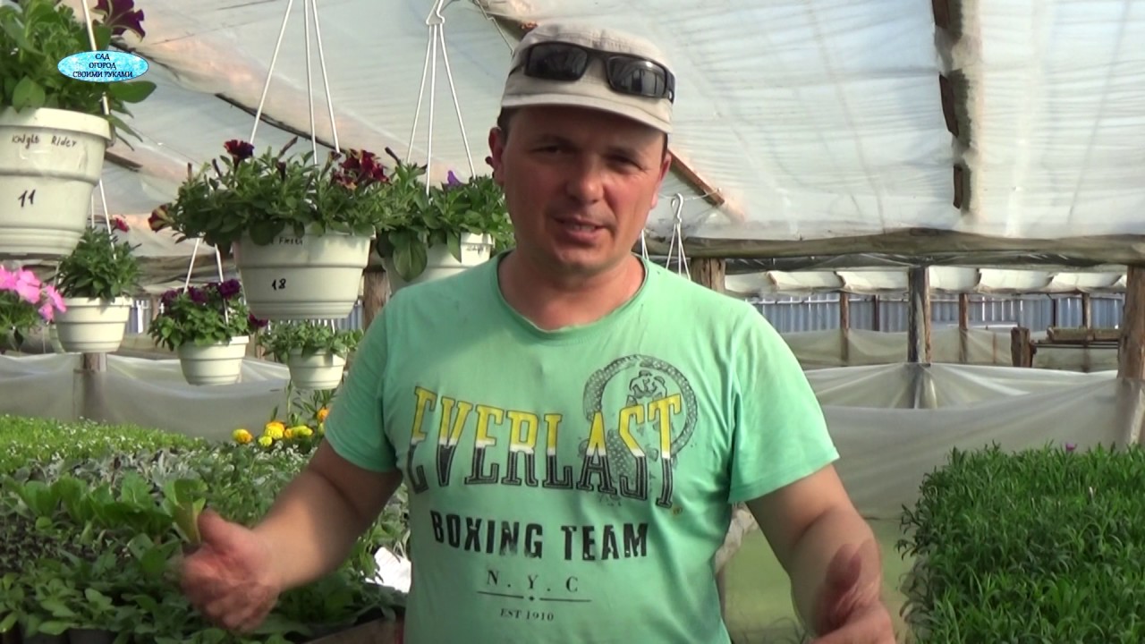 Нажмите, чтобы запустить видео