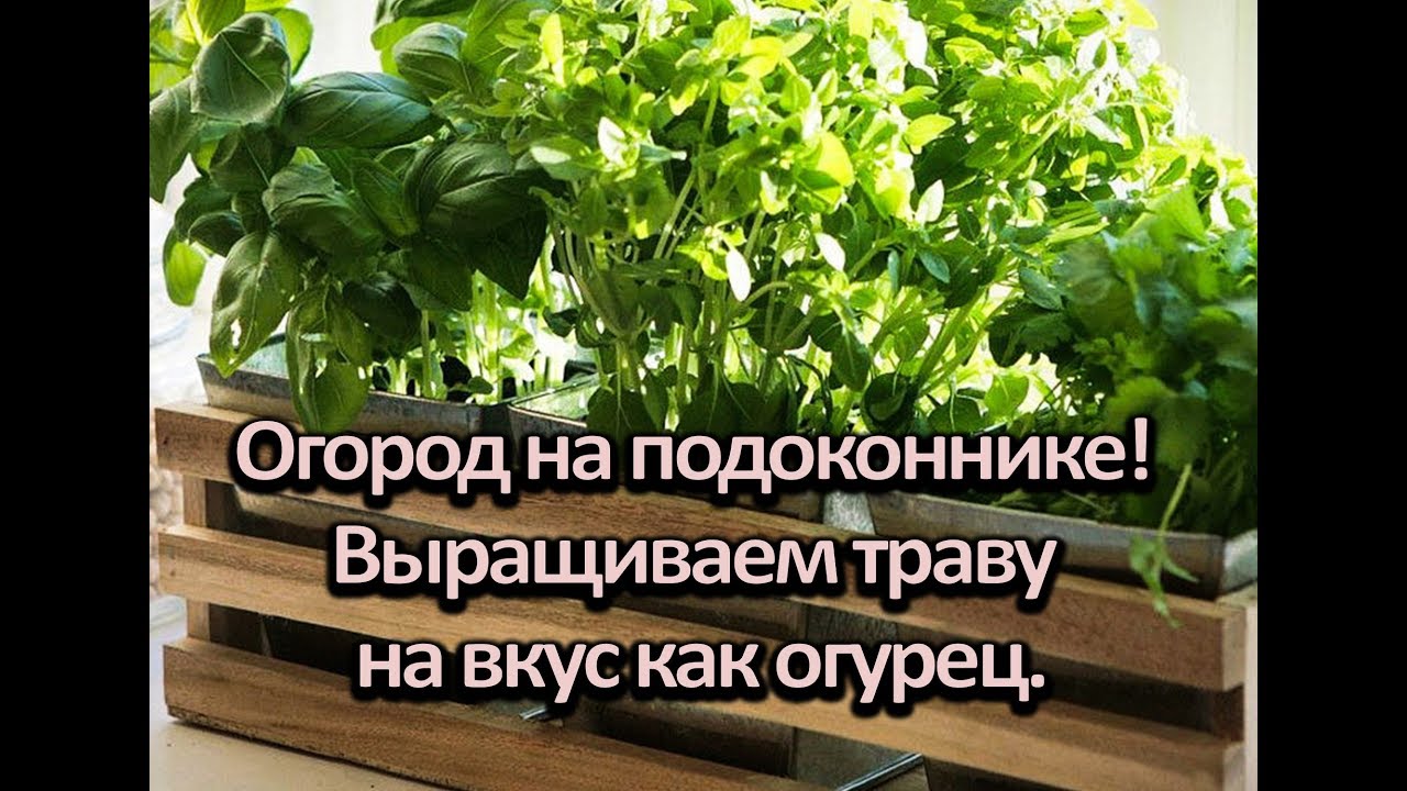 Нажмите, чтобы запустить видео