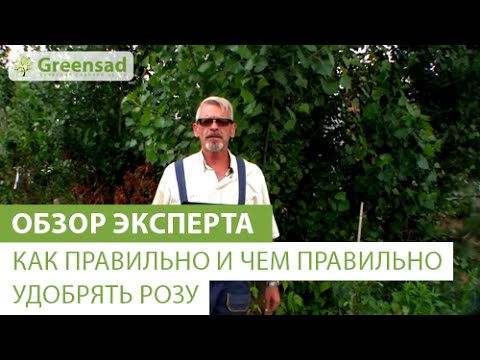 Нажмите, чтобы запустить видео