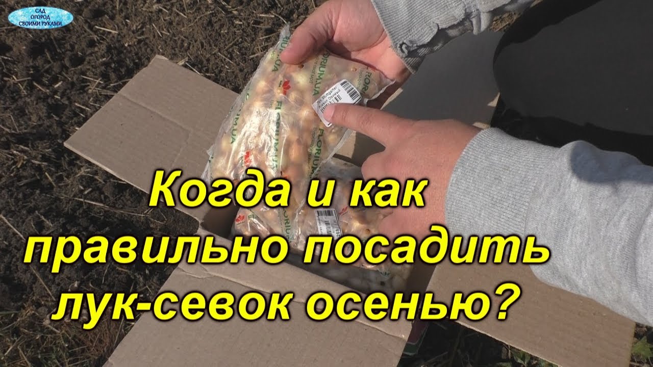 Нажмите, чтобы запустить видео