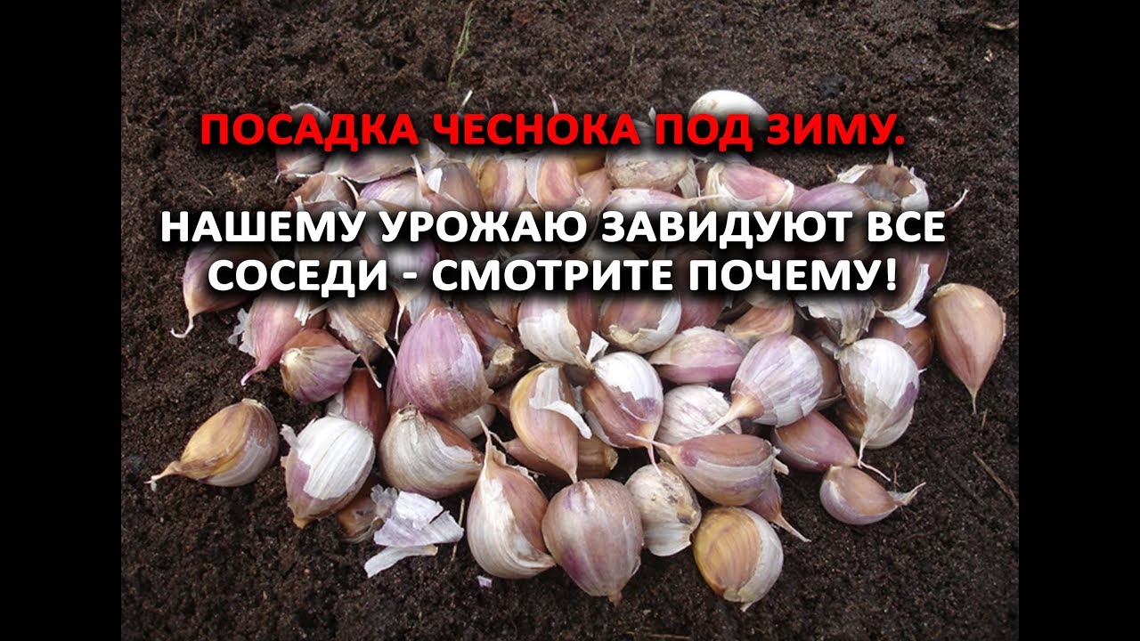 Нажмите, чтобы запустить видео