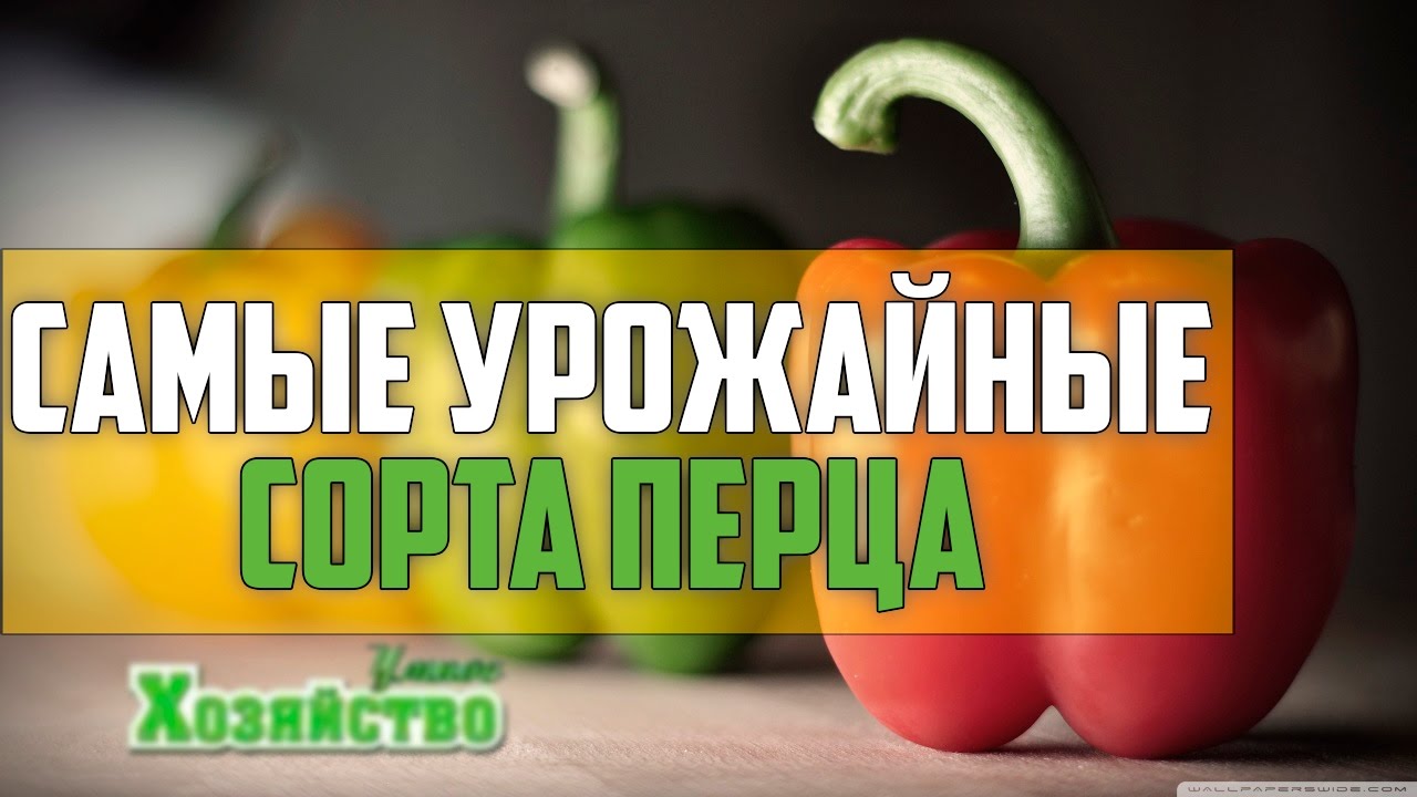 Нажмите, чтобы запустить видео