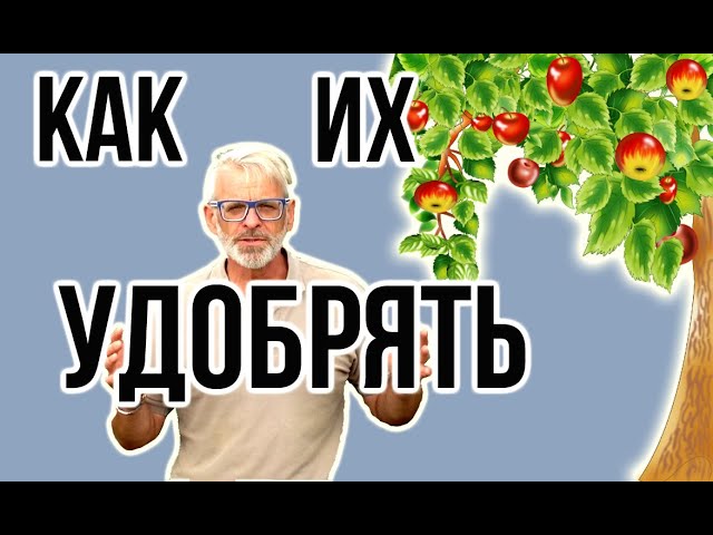 Нажмите, чтобы запустить видео