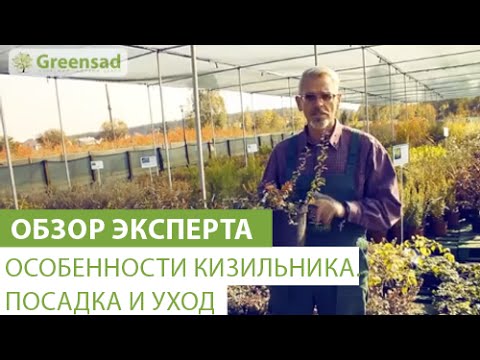 Нажмите, чтобы запустить видео