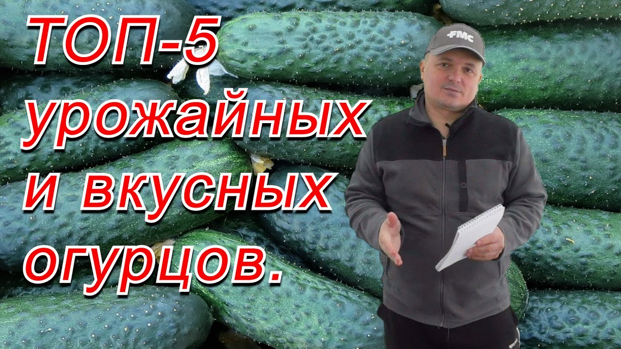 Нажмите, чтобы запустить видео