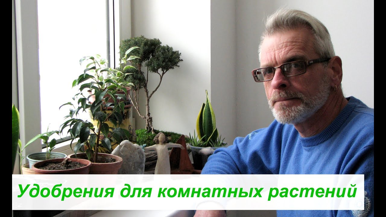 Нажмите, чтобы запустить видео
