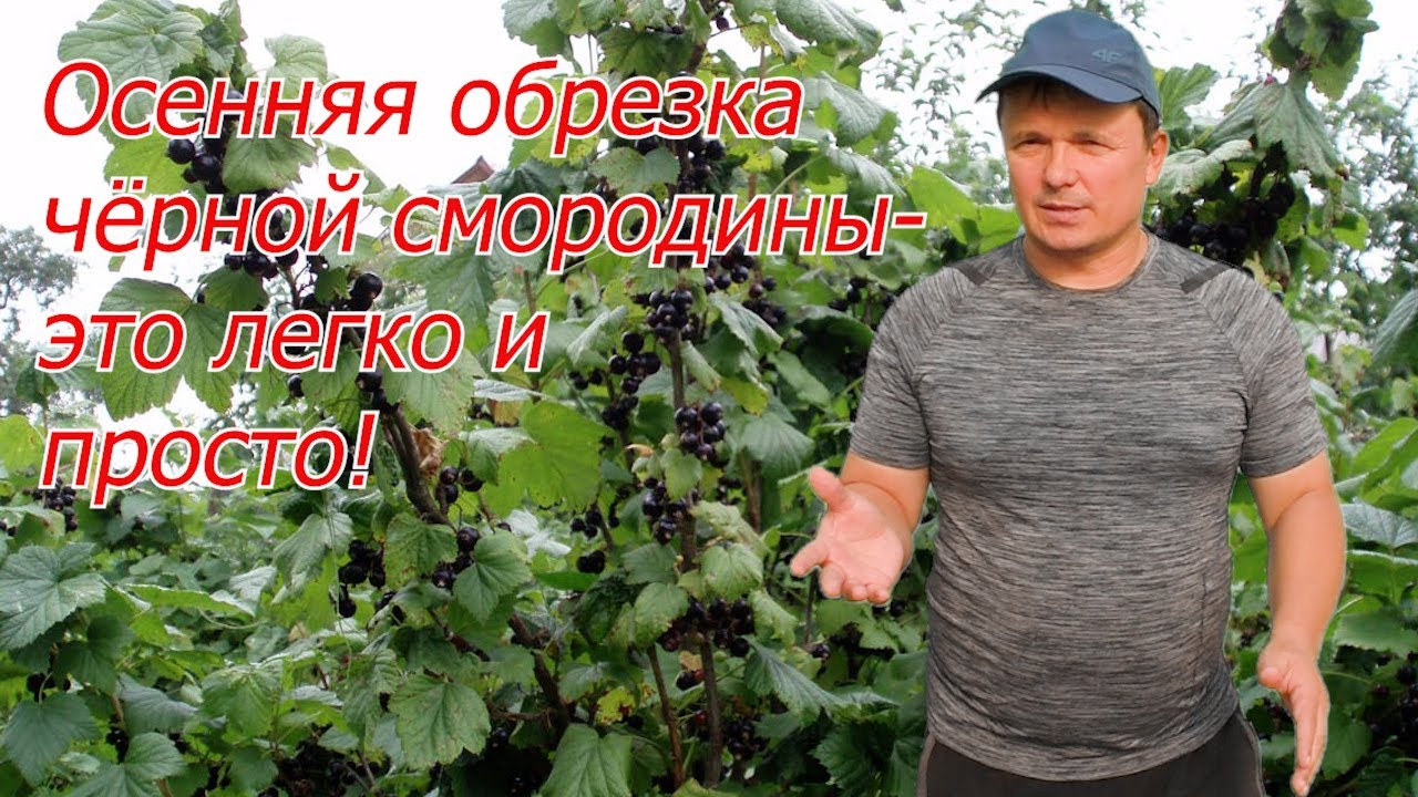 Нажмите, чтобы запустить видео