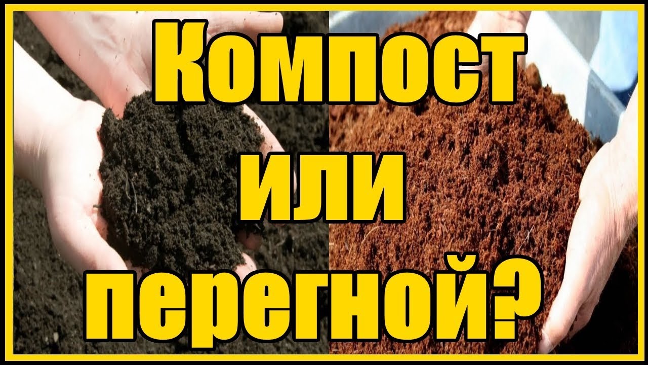 Нажмите, чтобы запустить видео