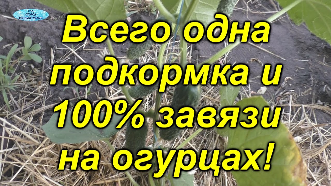 Нажмите, чтобы запустить видео
