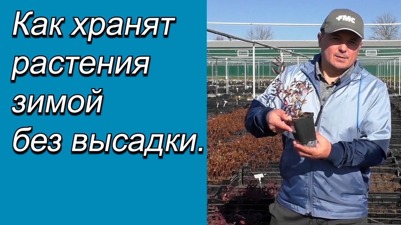Нажмите, чтобы запустить видео