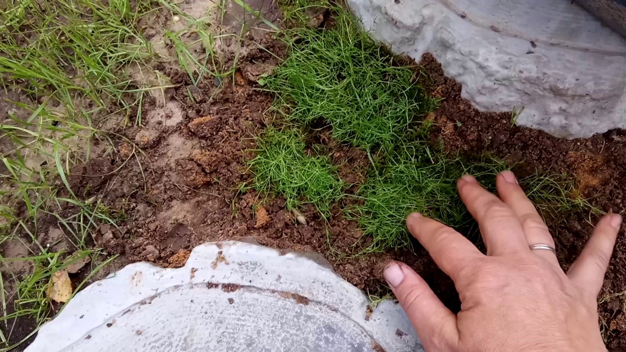 Нажмите, чтобы запустить видео
