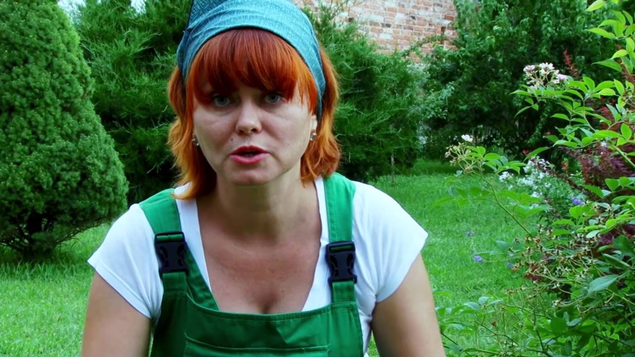 Нажмите, чтобы запустить видео