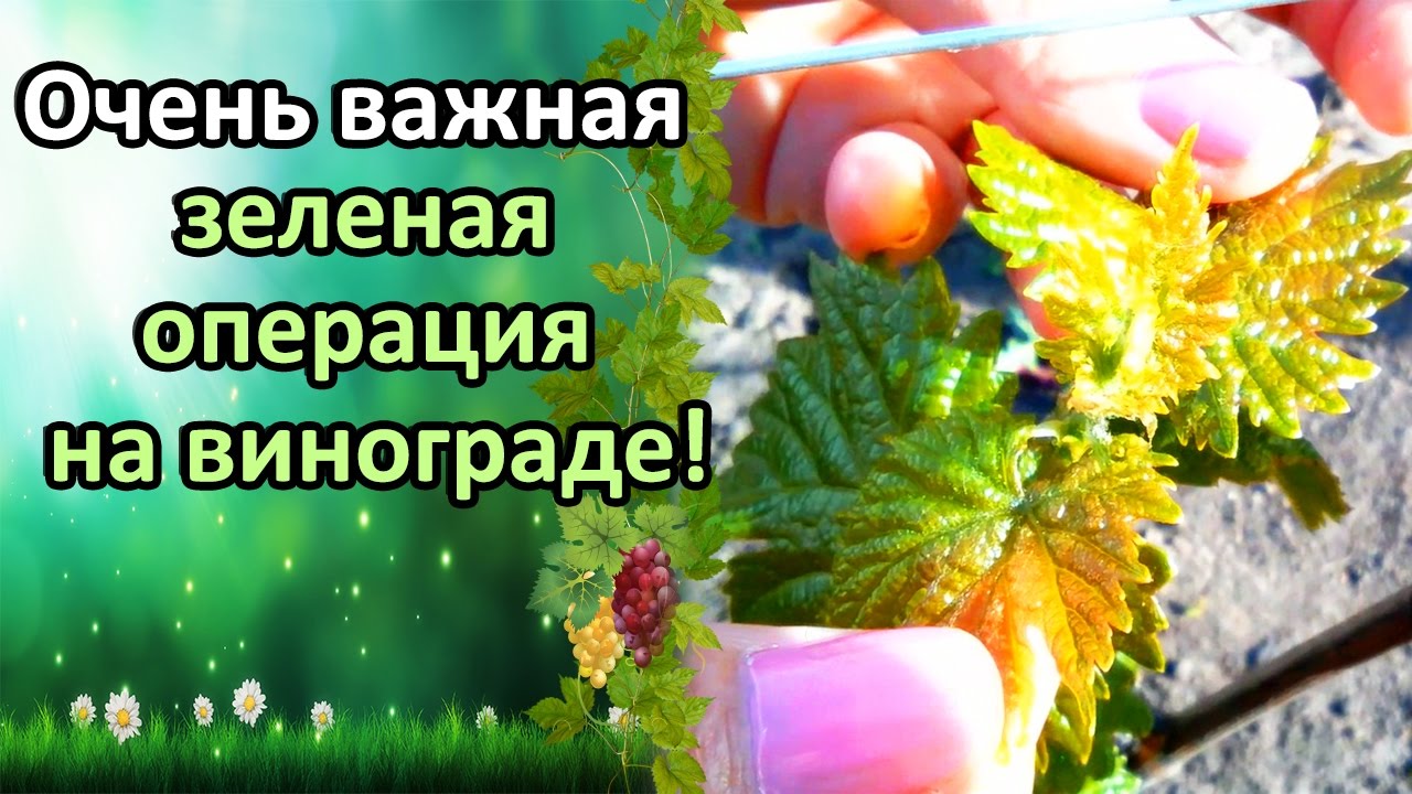Нажмите, чтобы запустить видео