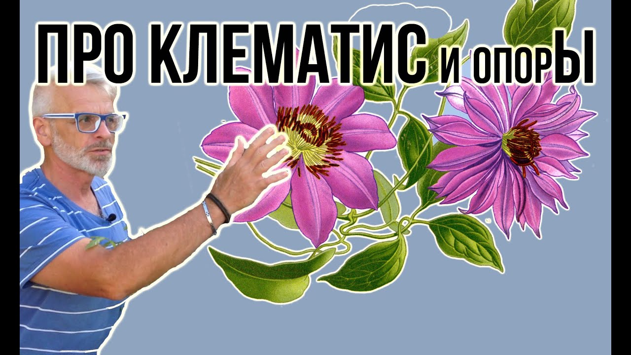 Нажмите, чтобы запустить видео