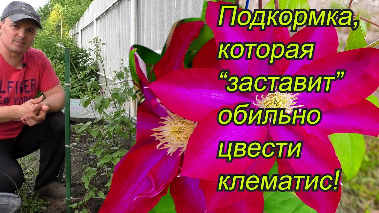 Нажмите, чтобы запустить видео